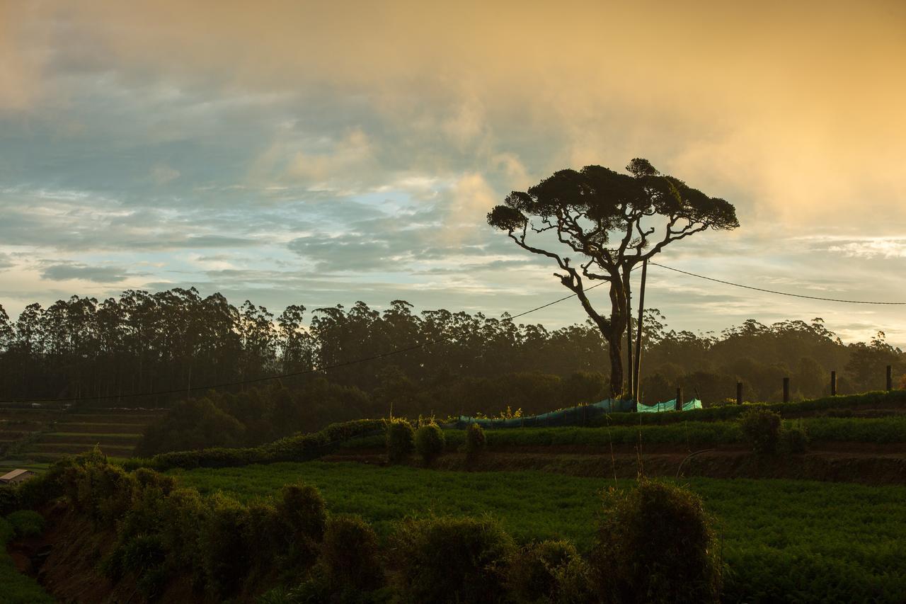 Grand Camellia Hotel Nuwara Eliya Exterior photo